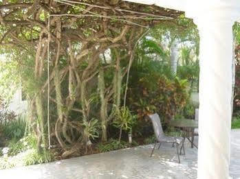 Baldwin'S Guest House Cozumel Kültér fotó